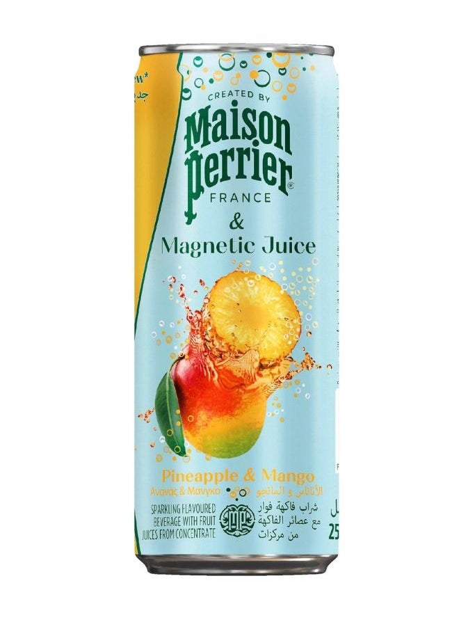 Maison Perrier Magnetic Juice Pineapple And Mango  - Image 2