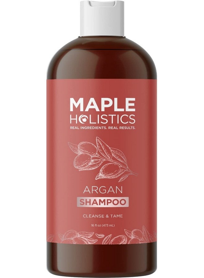 Maple Holistics Argan Oil Shampoo For Dry Hair Sulfate Free Shampoo For Damaged Hair And Frizz With Argan Oil For Hair Volumizing Shampoo For Hair Shine And Volume Featuring Ultra Moisturizing Natural Oils - Image 1