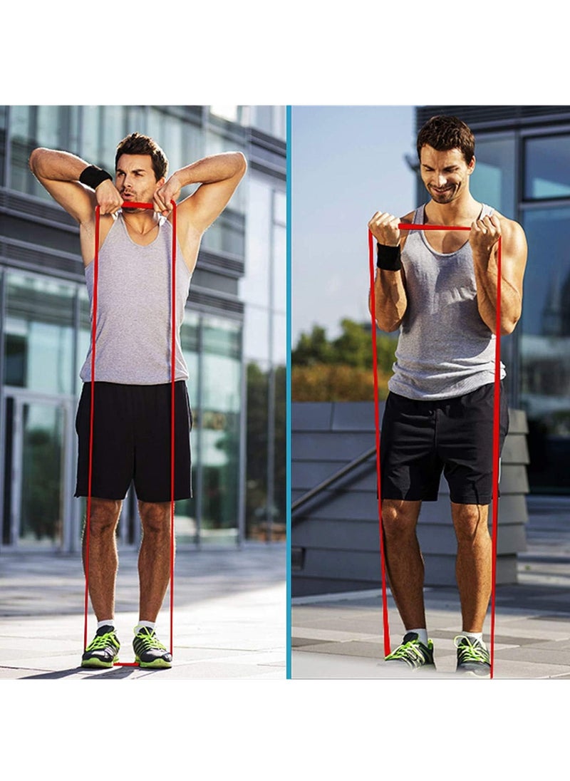 Rock Pow - Resistance Bands Set 10Pcs Exercise Bands Workout Bands Elastic Bands for Exercise Pull Up Assistance Bands Fitness Bands Assist Set for Body Training Strength Weighted Gyms - Image 1