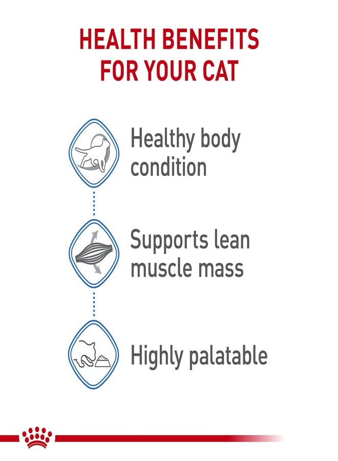 Royal Canin Feline Care Nutrition Weight Care Adult Chunks in Gravy Cat Food, 3 oz (Pack of 12) - Image 3