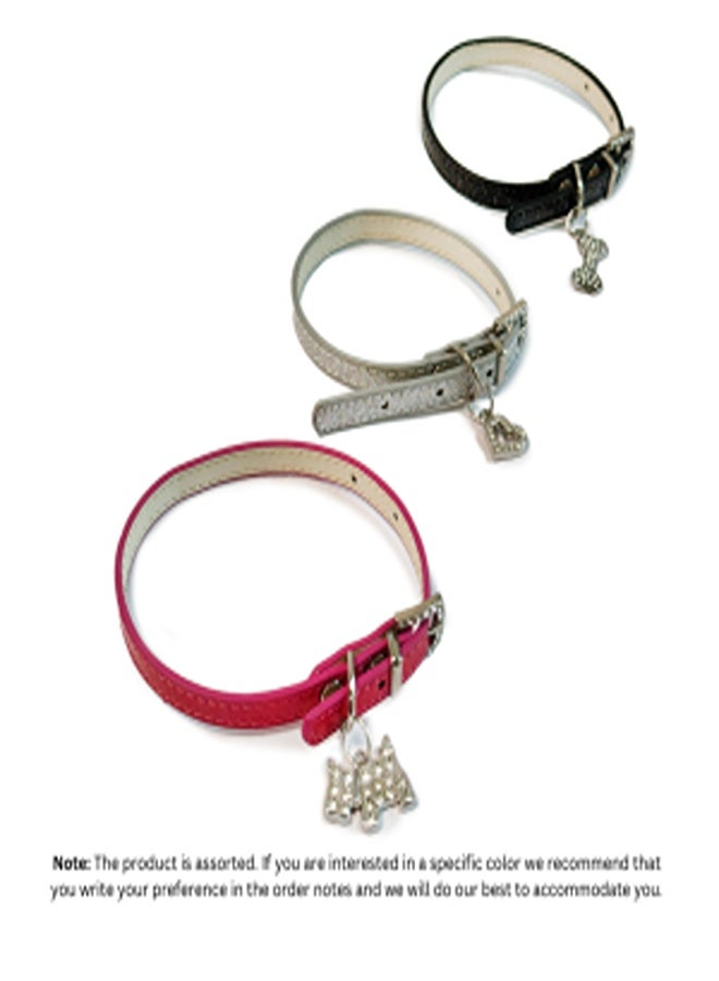 بوبي طوق سحر للكلاب 1 × 30 سم، ألوان متنوعة