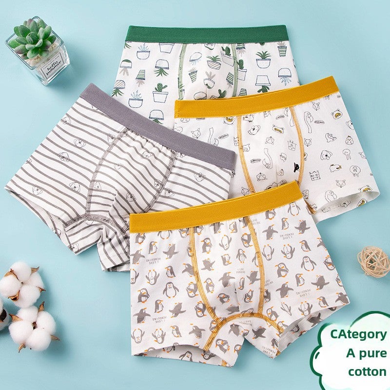 Boys Cotton Cartoon Boxer Briefs 1009 Cactus Combo