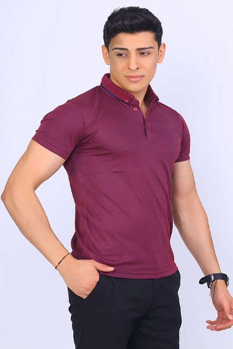 فاريتا Men's Fuchsia Regular Cut Polo Neck Men's Knitwear T-Shirt