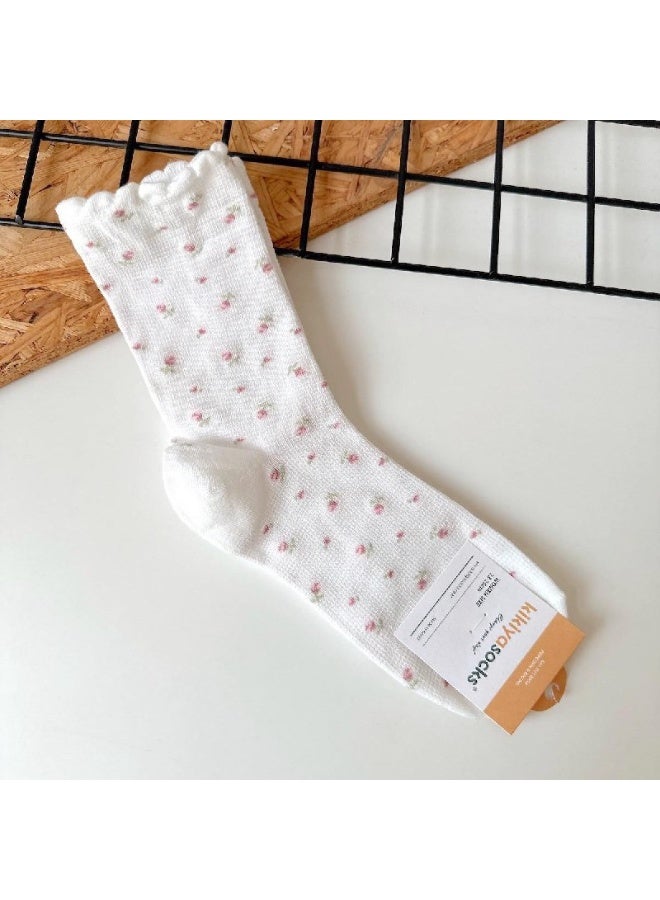 ناما مجموعة شرابات مكونة من 12 شراب حريمي مقاس واحد موحد - Image 4