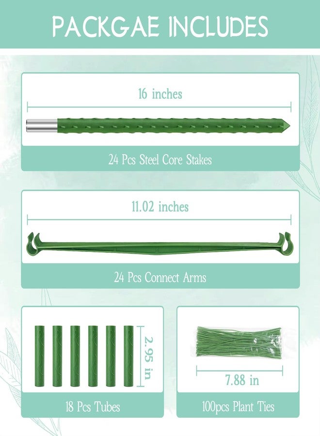 Legigo 4-Pack Tomato Cage for Garden Plant Support- Up to 63inch Garden Stakes Tomato Cage, Tomato Trellis for Potted Plants, Tomato Cages Plant Stakes for Climbing Vegetables Plants Flowers - Image 3