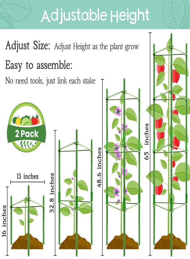 Legigo 4-Pack Tomato Cage for Garden Plant Support- Up to 63inch Garden Stakes Tomato Cage, Tomato Trellis for Potted Plants, Tomato Cages Plant Stakes for Climbing Vegetables Plants Flowers - Image 2