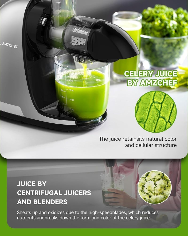 amzchef عصارة AMZCHEF للضغط البارد البطيء، آلة مضغ كهربائية للفواكه والخضروات، مع كوبين وفرشاة، رمادي، قابس BS، 220 فولت - Image 5