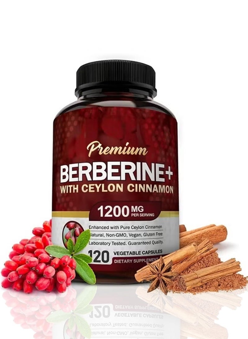 بريميم كبسولات بربرين هيدروكلوريد ممتازة بتركيز 1200 ملغ، 120 كبسولة، بالإضافة إلى مستخلص جذور بربرين هيدروكلوريد نقي من قرفة سيلان الأصلية، مكملات غذائية تدعم جهاز المناعة بنسبة 8% من حمض الهيدروكلوريك. - Image 1