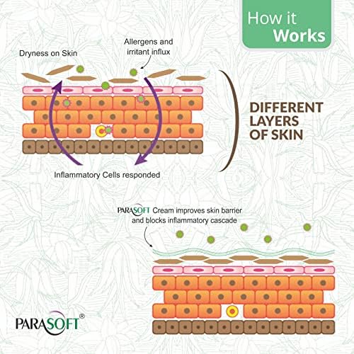 Parasoft Cream for Dry & Dehydrated Skin Intense Moisturizer Nourishing Cold & Winter Cream Goodness of Aloe vera for both Men & Women Quick Absorbing & Paraben Free- 500GM(Pack of 8) - Image 5