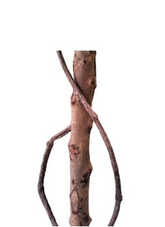 Garden Oasis Landscaping Tall Artificial Olive Tree with Potted Design, Silk Leaves, Large Faux Branches, and Fruits Modern Indoor Floor and Home Décor (160cm)  - Image 3