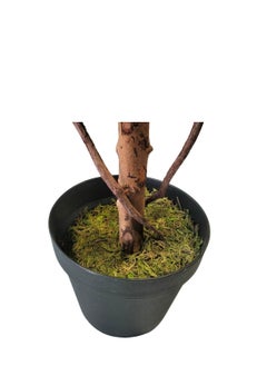 Garden Oasis Landscaping Tall Artificial Olive Tree with Potted Design, Silk Leaves, Large Faux Branches, and Fruits Modern Indoor Floor and Home Décor (160cm)  - Image 4