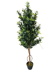 Garden Oasis Landscaping Tall Artificial Olive Tree with Potted Design, Silk Leaves, Large Faux Branches, and Fruits Modern Indoor Floor and Home Décor (160cm)  - Image 1