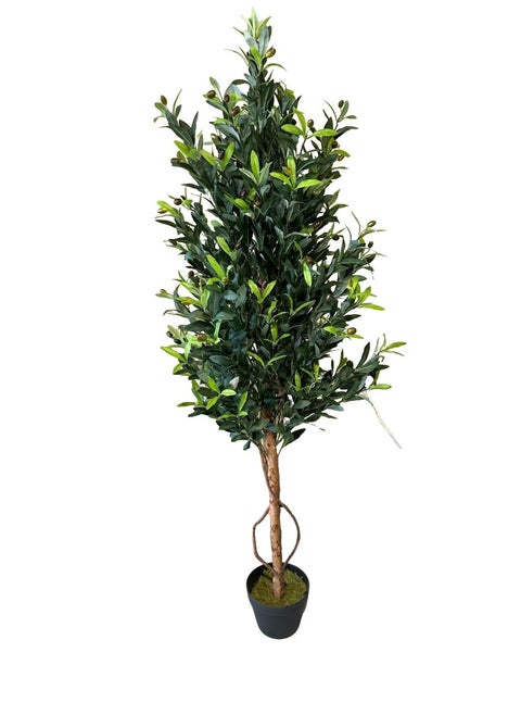 Tall Artificial Olive Tree with Potted Design, Silk Leaves, Large Faux Branches, and Fruits Modern Indoor Floor and Home Décor (160cm)