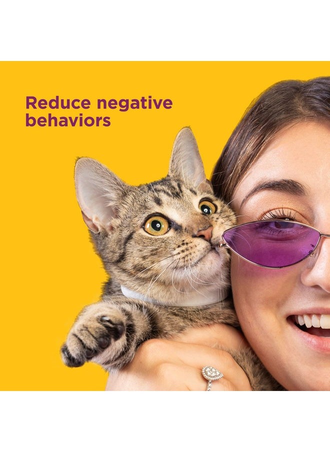 Comfort Zone Comfort Zone Cat Calming Collar Savings Pack: 2 30-Day Calming Collars for 60 Days of Calm; Cat Pheromones Help Anxiety, Reduce Stress, Urine Marking, Scratching; Indoor or Outdoor Cats; Long-Lasting  - Image 4