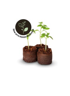 ماركة غير محددة الكريات البادئة من الخث الأصلية في لمح البصر من جوز الهند، قابس بذور الكريات، إنبات النباتات، قطع الخضروات المستنسخة  - Image 2