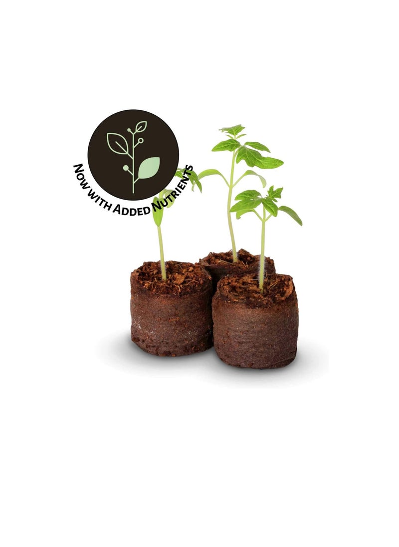 Generic 38 Peat Starter Pellets 33 mm Original Jiffy Coir Plug Pellet Seed Propagation & Germination Plant & Vegetable Cuttings & Clones  - Image 2