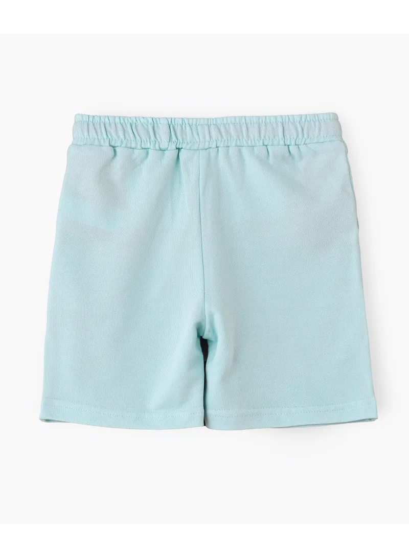 Disney Disney Boys Cotton Jersey Shorts with Elastic Waist and Straight Hemline | Above Knee Shorts for Kids