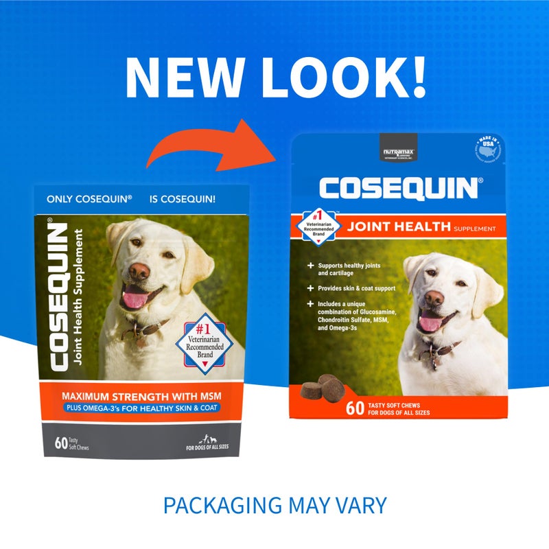 Nutramax Laboratories COSEQUIN Maximum Strength Joint Supplement Plus MSM & Omega-3's - With Glucosamine and Chondroitin - For Dogs of All Sizes (Soft Chews) - Image 2