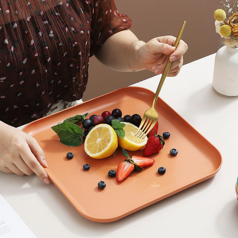 Clovis Wheat Straw Plates - 11 Inch Unbreakable Dinner Plates Set of 1 - Dishwasher & Microwave Safe Plates Reusable - Lightweight Plates for Kitchen, Camping (Nordic Pink, 29 CM, Set of 1) - Image 3