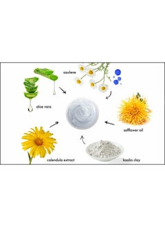 Raya Azulen Soothing Masque (602) | Calming Facial Treatment Mask for Sensitive Skin | Tones and Refines Complexion | Made with Azulene and Aloe Vera  - Image 2