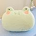 NatureMan Plush Frog Pillow Super Soft Stuffed Frog Hand Warmer for Adults Children Green - Image 2