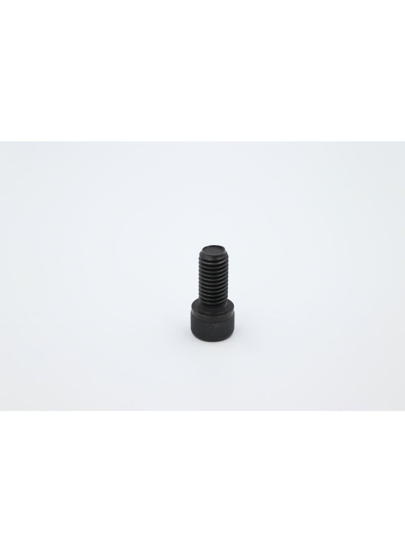 Bolt MS Allen Head 12mmx25mm - 2pcs