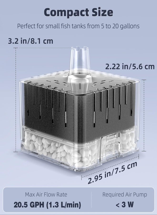 Pawfly Aquarium Sponge Filter for Fish Tanks up to 5-20 Gallons, Small Fish Tank Filter, Sponge Filter with Foam and Air Stone (Air Pump Not Included) - Image 3