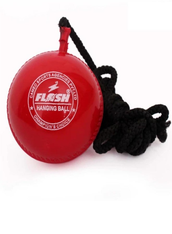 GudyB Synthetic Ball with a Cord Cricket Hanging & Knocking Ball for Indoor & Outdoor Training, Practice, Batting - Image 1