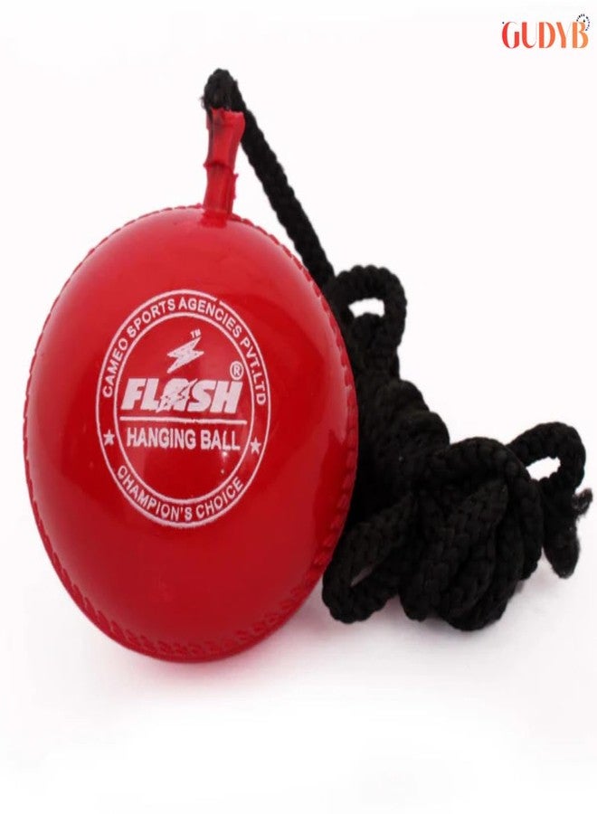 GudyB Synthetic Ball with a Cord Cricket Hanging & Knocking Ball for Indoor & Outdoor Training, Practice, Batting - Image 5