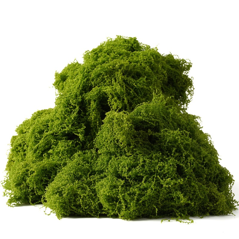 BYHER Fake Moss for Plants Indoor, 7OZ Value Pack - Artificial Grass for Crafts, Floral Arrangements & Potted Plants, Natural Moss Alternative for Terrariums, Fairy Gardens (Light Green) - Image 3