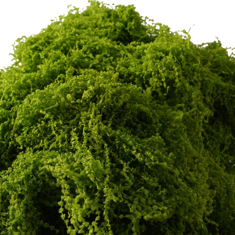 BYHER Fake Moss for Plants Indoor, 7OZ Value Pack - Artificial Grass for Crafts, Floral Arrangements & Potted Plants, Natural Moss Alternative for Terrariums, Fairy Gardens (Light Green) - Image 2