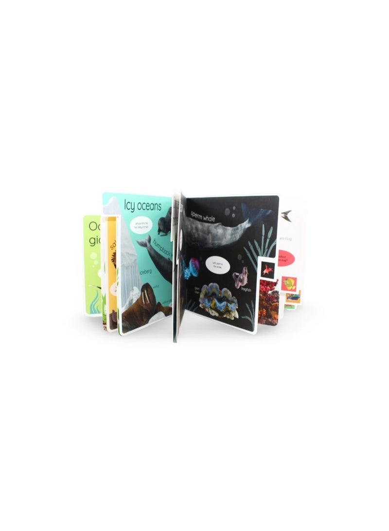 DK My First Ocean: Let's Dive in and Explore! Board Book - Image 2