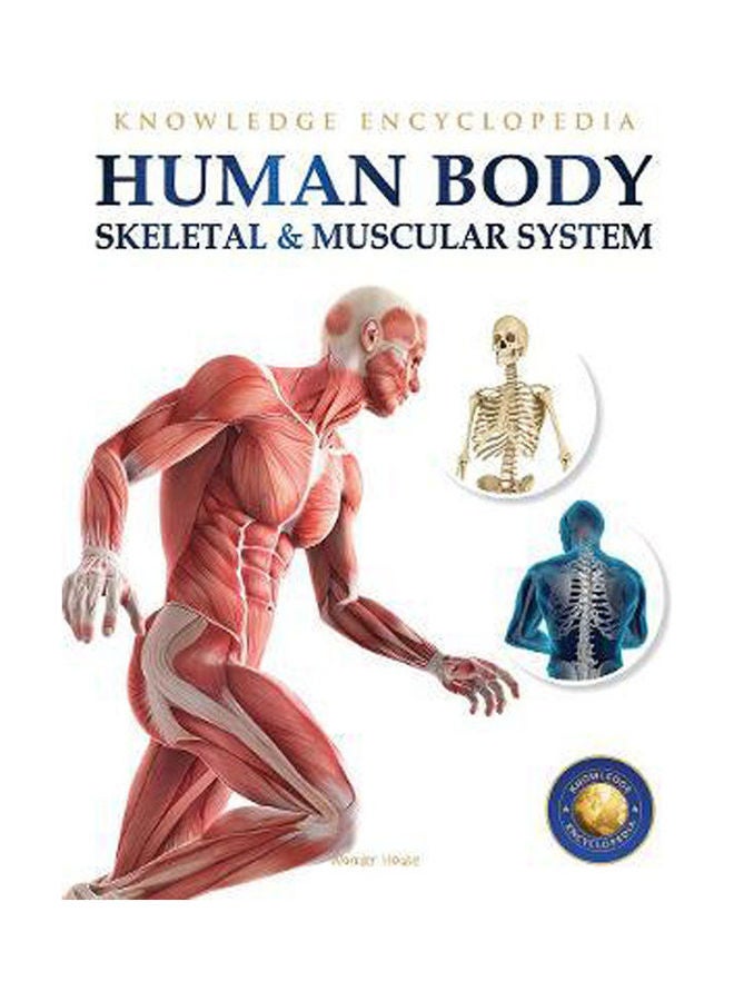 Human Body - Skeletal And Muscular System