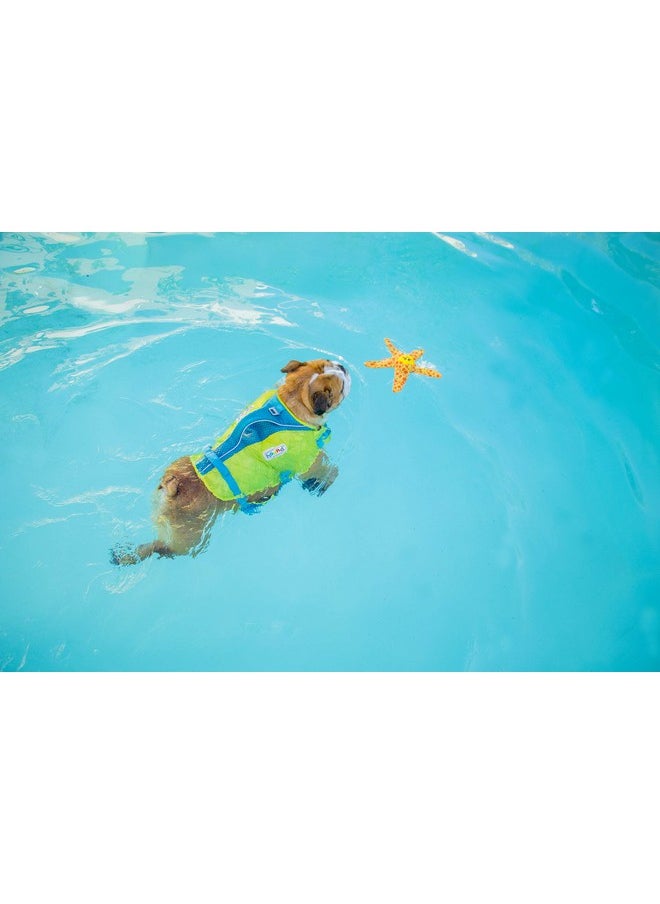 outward hound Outward Hound Floatiez Starfish Floating Dog Toy, Medium  - Image 4