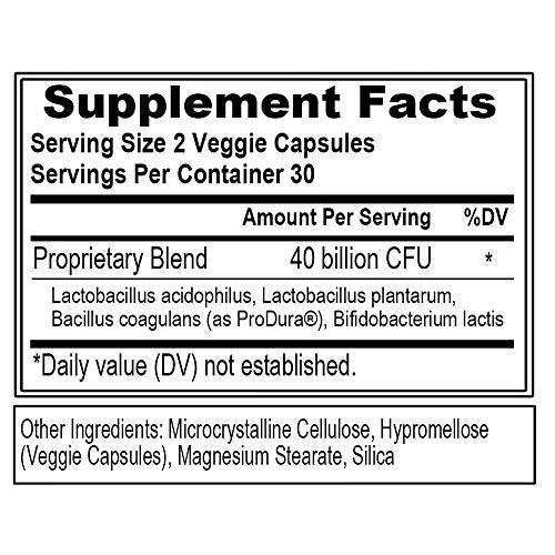 Evlution Nutrition Probiotic - 40 Billion CFU - Supports Digestive + Immune Health - Probiotic Supplement for Men & Women - Vegetarian, Gluten Free & Non-GMO - 30 Servings - 60 Veggie Capsules - Image 2