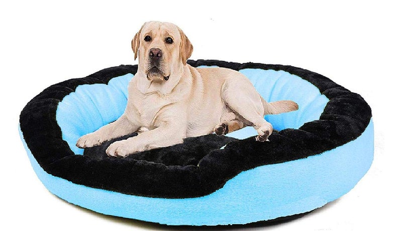 Petslover Ultra Super Soft Sky Blue Color Fleece Fabric Polyester Filled Fiber Dog/Cat Beds (Export Quality) - Medium - Image 2