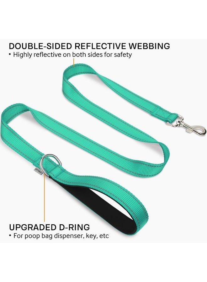 Joytale Reflective Nylon Dog Leash, Padded Handle Dogs Leashs for Walking,Training Lead for Medium & Small Dogs, 4FT,Teal - Image 2