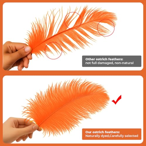 Piokio 20 pcs Orange Ostrich Feathers Plumes 6-8 inch(15-20 cm) Bulk for DIY Handmade Artwork and DIY Clothes, Feather Pens, Dream Catcher, Table Decoration. - Image 3