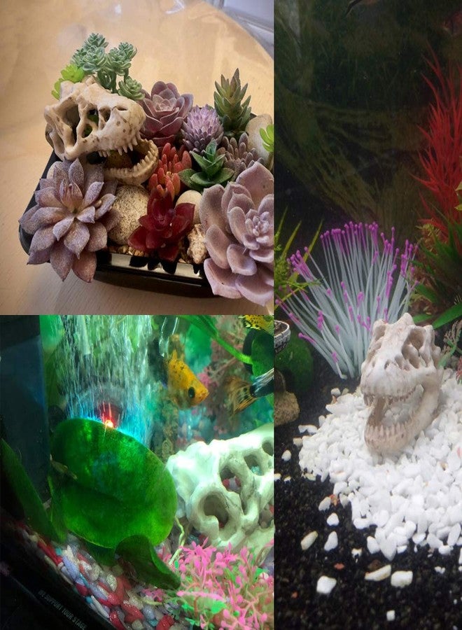 MTGHYARE 2 Pack Dinosaur Aquarium Decorations Skull Aquarium Ornament Mini Dinosaur Mold Decoration Tank Reptile Hide Decor with Holes Fish Tank Landscape Reptile Betta Fish Hideout Caves - Image 3
