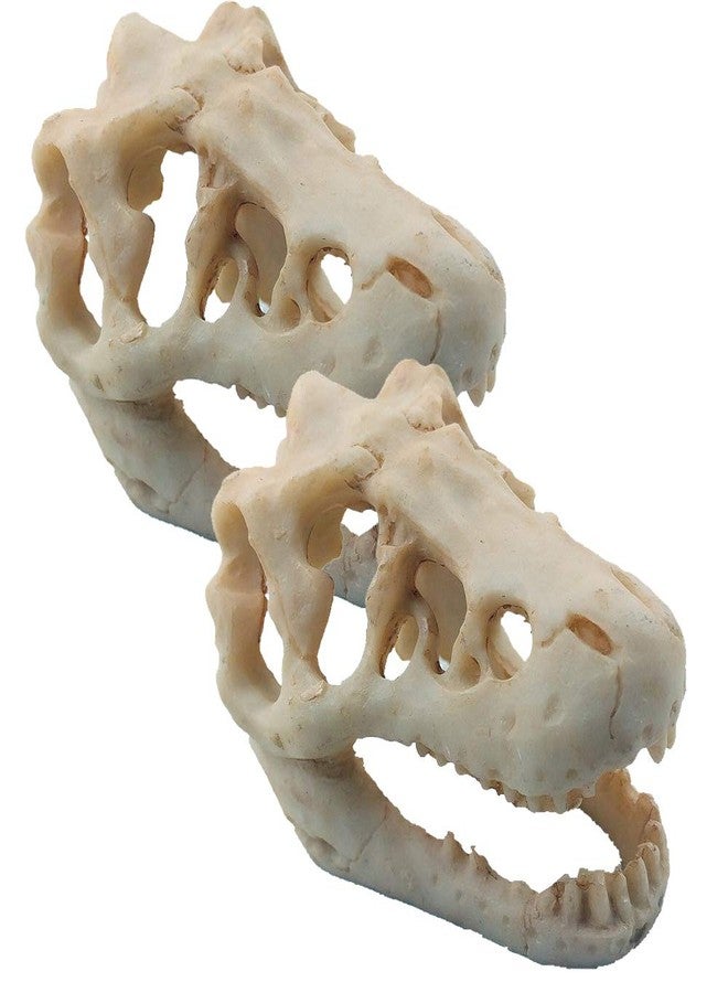 MTGHYARE 2 Pack Dinosaur Aquarium Decorations Skull Aquarium Ornament Mini Dinosaur Mold Decoration Tank Reptile Hide Decor with Holes Fish Tank Landscape Reptile Betta Fish Hideout Caves - Image 1