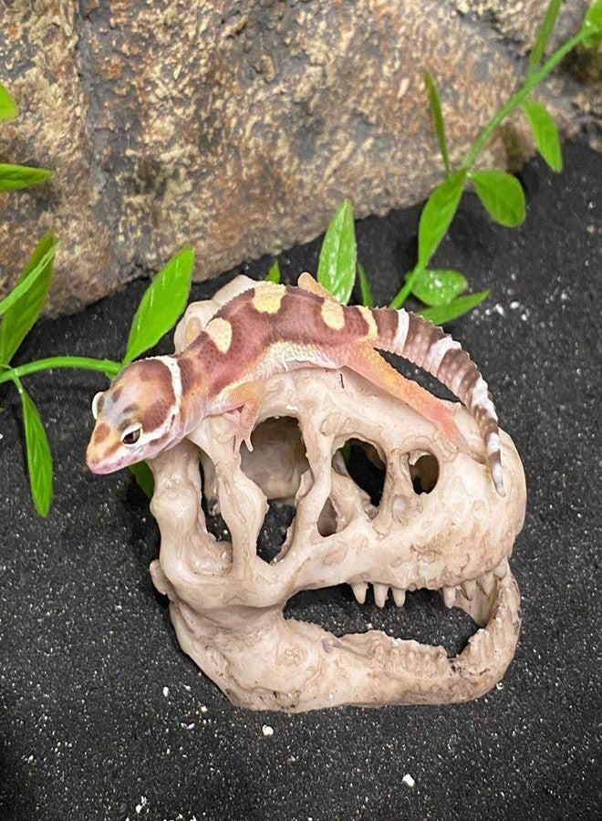 MTGHYARE 2 Pack Dinosaur Aquarium Decorations Skull Aquarium Ornament Mini Dinosaur Mold Decoration Tank Reptile Hide Decor with Holes Fish Tank Landscape Reptile Betta Fish Hideout Caves - Image 2