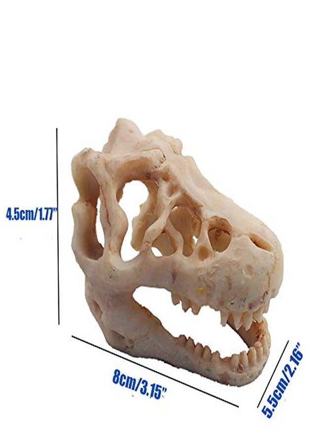 MTGHYARE 2 Pack Dinosaur Aquarium Decorations Skull Aquarium Ornament Mini Dinosaur Mold Decoration Tank Reptile Hide Decor with Holes Fish Tank Landscape Reptile Betta Fish Hideout Caves - Image 4