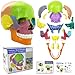 NEW HORIZON New Anatomy Skull Model 15 Parts Human Anatomy Exploded Skull Detachable PalmSized Mini Human Color Medical Skull ModelMedical Dental Clinic Teaching EquipmentLearning with Color Study Manual - Image 2