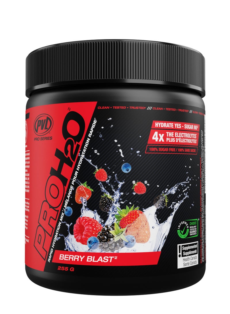 PVL Pro Series - PROH2O 255g Berry Blast - Image 1