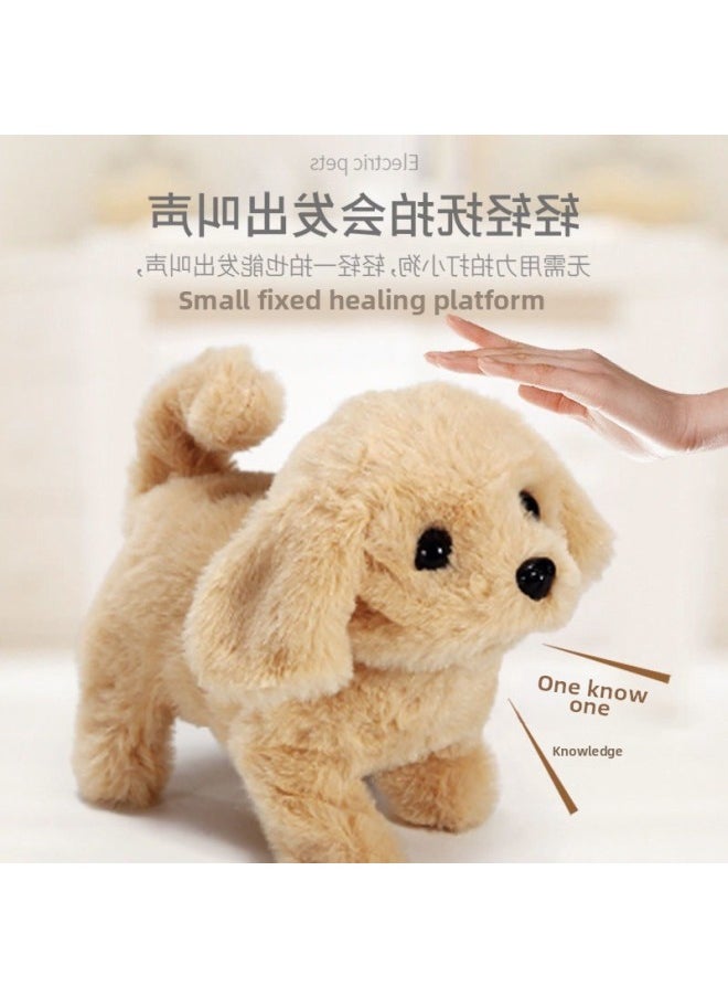 لعبة كهربائية قطيفة Fangzhen Dog قابلة للحركة للأطفال، كهربائية حقيقية من القطيفة الإلكترونية للمشي على شكل فتاة - اللون: ❥❣هاسكي (إصدار عالي الجودة لا يتساقط الوبر)~).-*-❣❥-المواصفات: ❥❣الشحن (بطارية قابلة لإعادة الشحن + شاحن) يأتي مع مقود الجرس❣❥  - Image 2