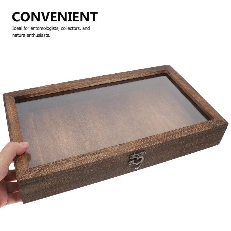 2pcs Box Box With Specimen Display Case Frame Insect Showcase Jewelry Storage Tray Pine Wood Keepsake Box Home Decor - Image 2