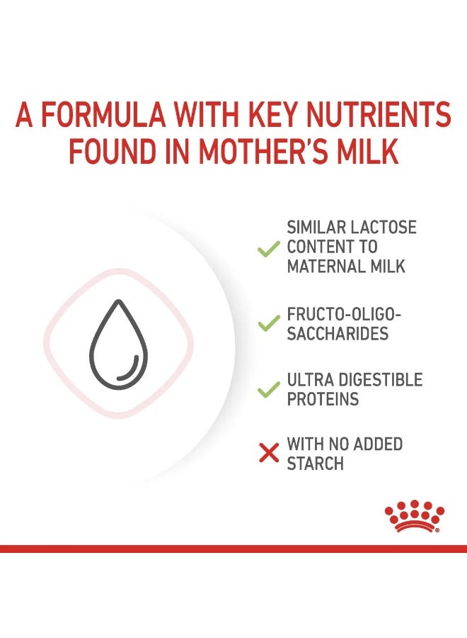 Royal Canin Babycat Milk Replacer 300g for Kitten Optimal Growth & Digestion - Image 4