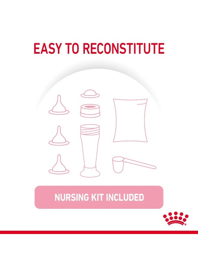 Royal Canin Babycat Milk Replacer 300g for Kitten Optimal Growth & Digestion - Image 2