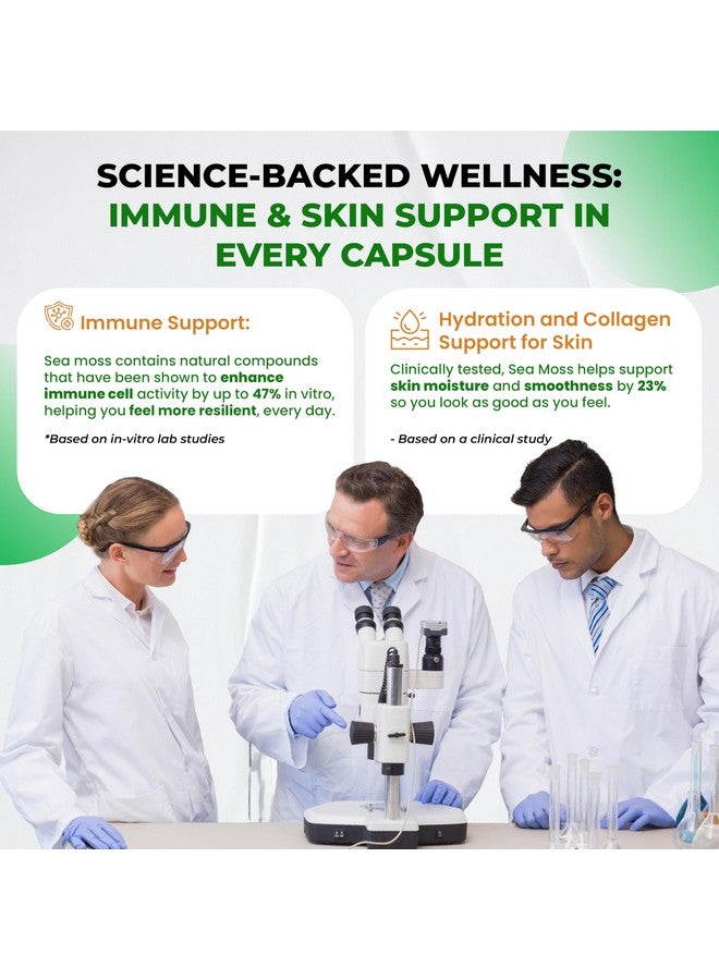 ULTRA HERBS كبسولات طحالب البحر العضوية مع زيت الحبة السوداء، أشواغاندا، جذر الأرقطيون، بلادر وراك لنظام المناعة، الأمعاء، البشرة والطاقة *صنع واختبار في الولايات المتحدة* (150 عدد (عبوة من 1)) - Image 5