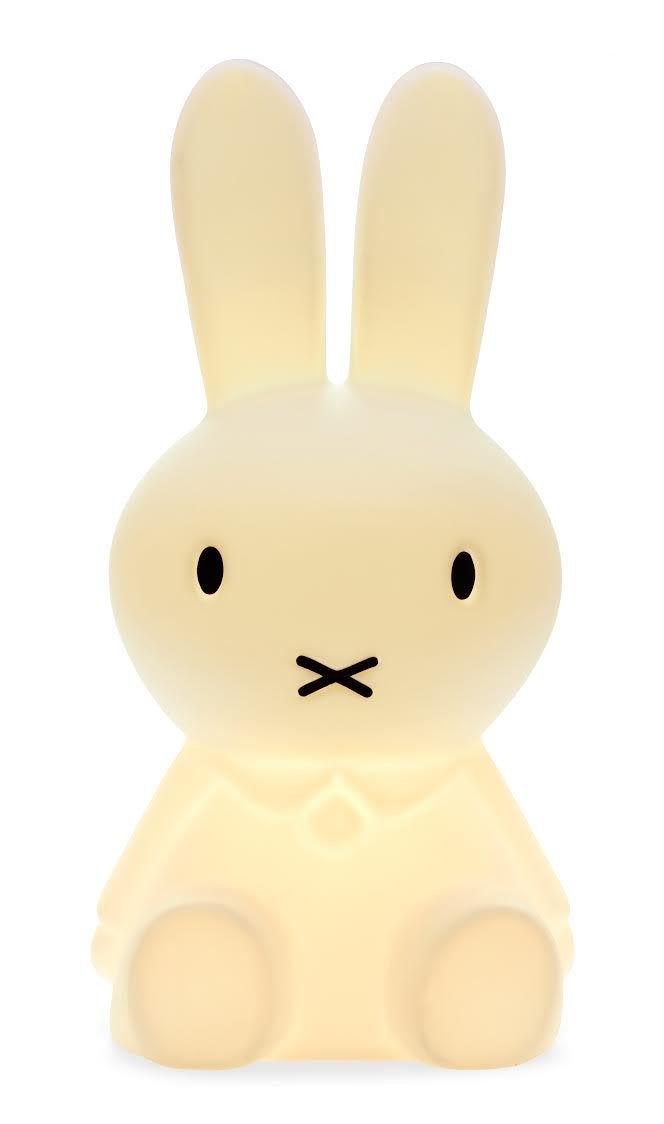 CDC مصباح LED مع ديمر مي في 20 بوصة من ديك برونا، بولي إيثيلين